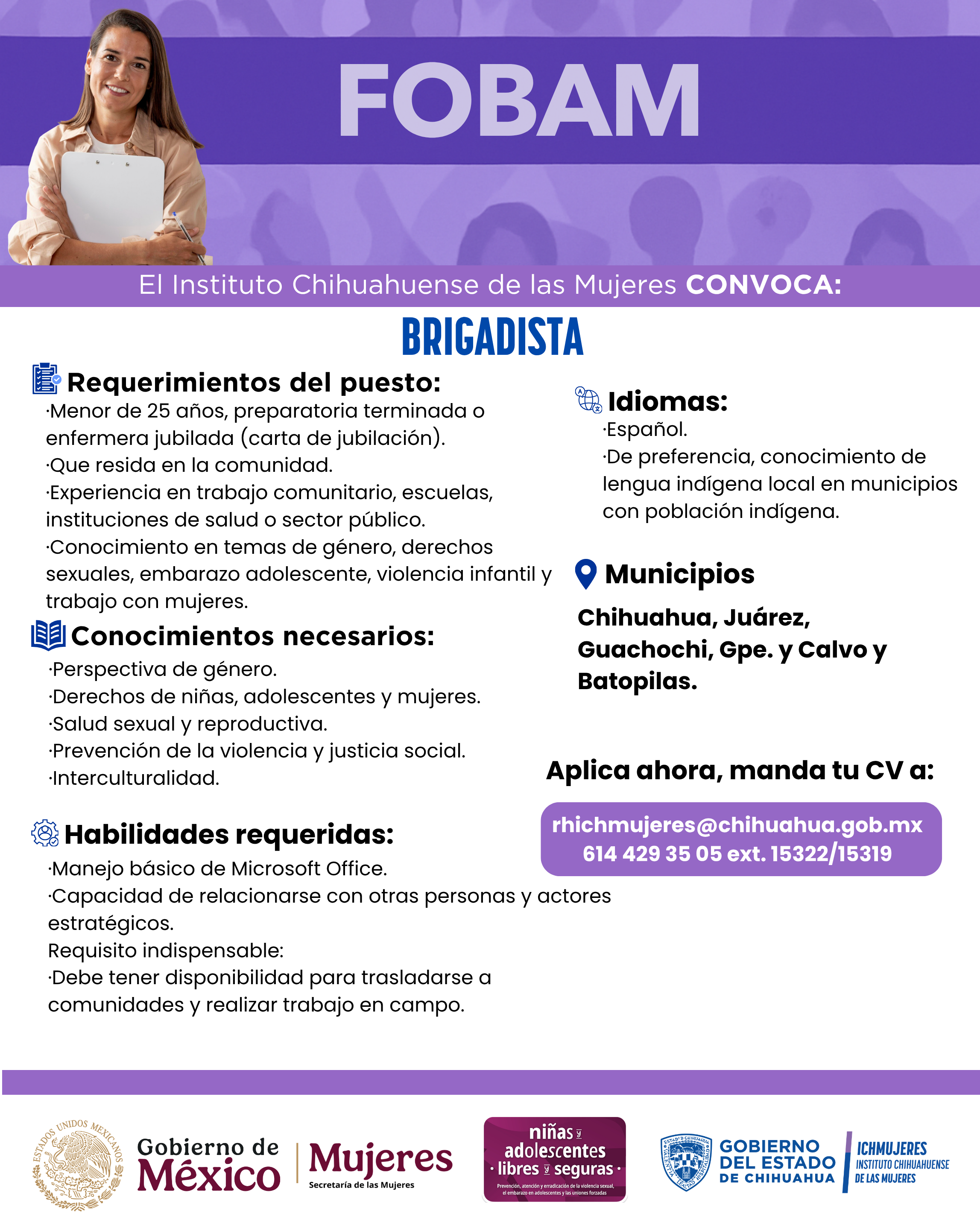 Vacante brigadista